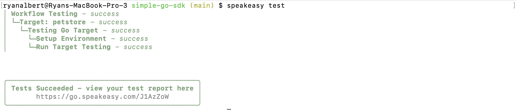 A screenshot of successful tests in the CLI.